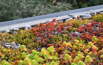 the cost of Ardglass green roof installation