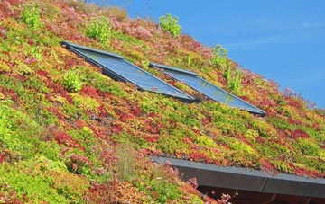 Ardglass living roof systems